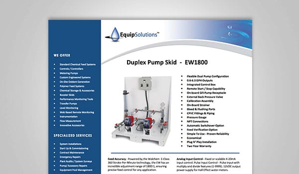 Duplex Pump Skid